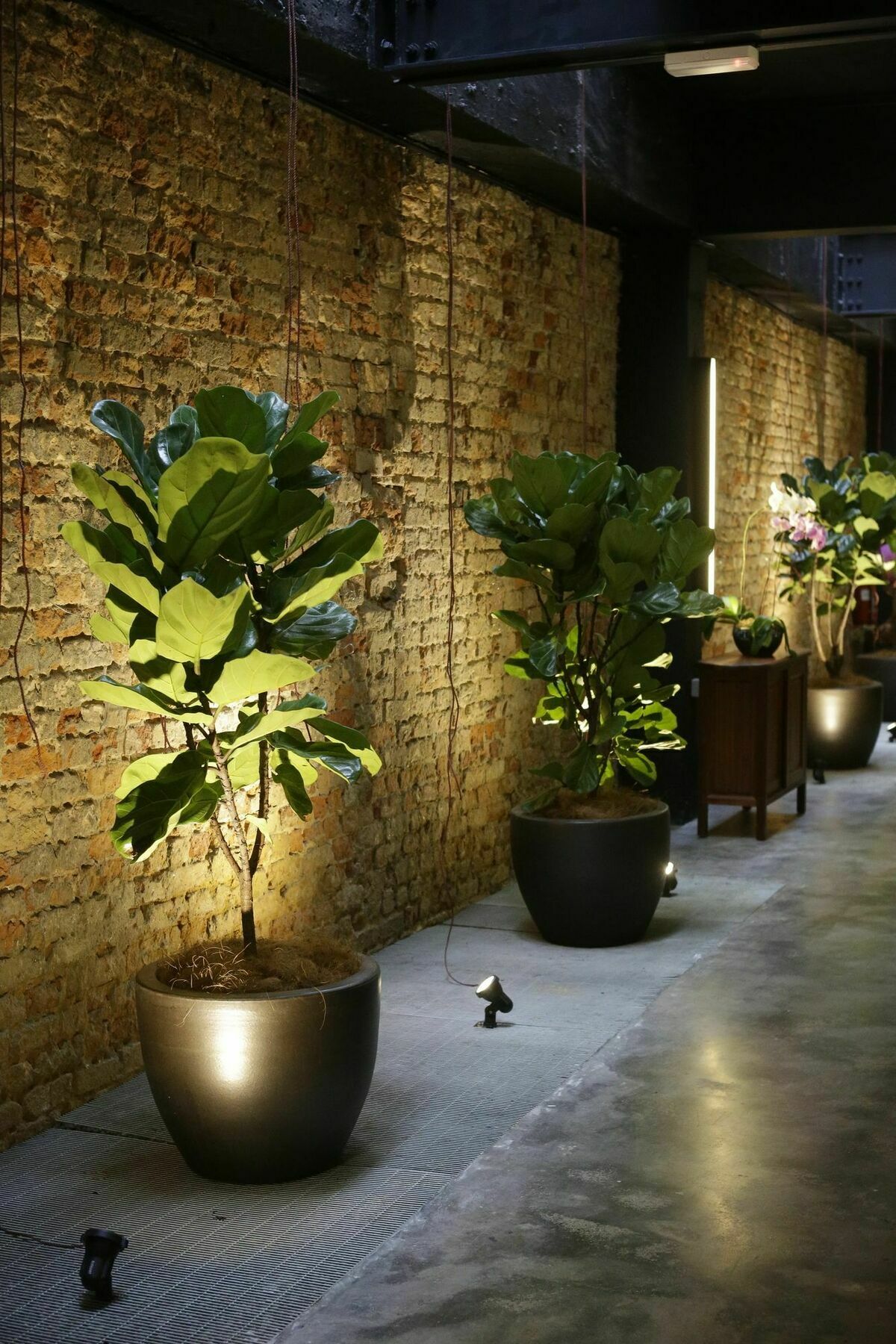 Tian Jing Hotel Κουάλα Λουμπούρ Εξωτερικό φωτογραφία